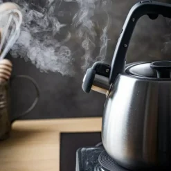 Czajnik z gwizdkiem tradycyjny stalowy 2.5L gaz indukcja srebrny szczotkowany Klausberg